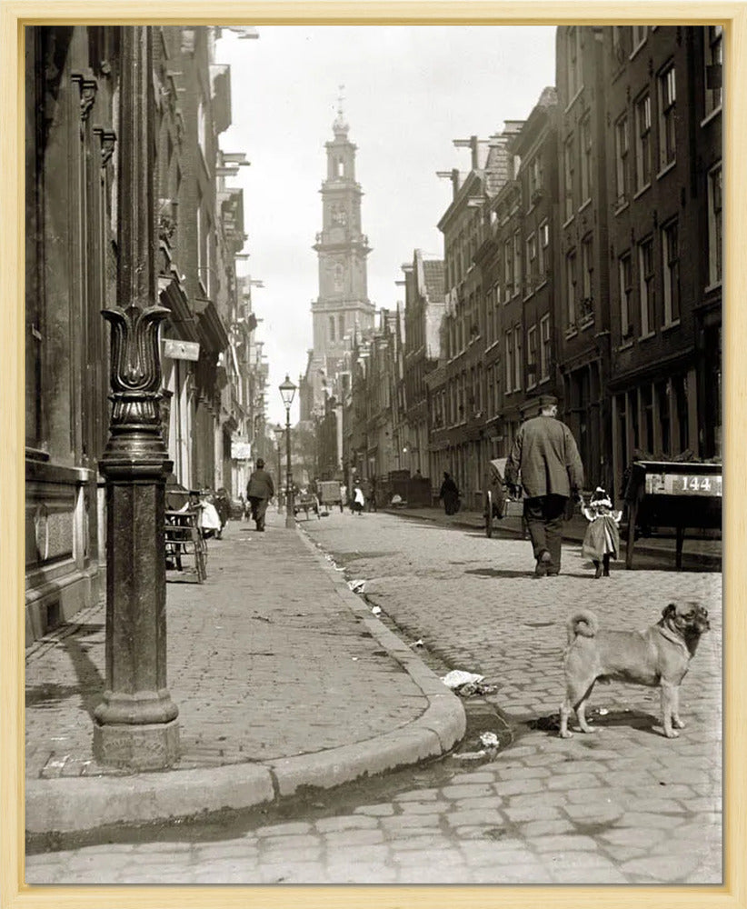 De Bloemstraat in de Jordaan - 1902