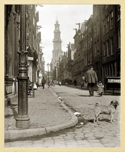 De Bloemstraat in de Jordaan - 1902