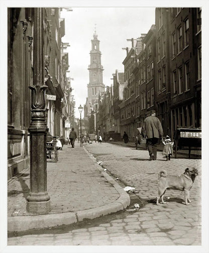 De Bloemstraat in de Jordaan - 1902