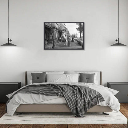 Zwart-witfoto uit 1972 van een circuspaard voor Theater Carré aan de Amstel in Amsterdam. – canvas zwarte baklijst in slaapkamer