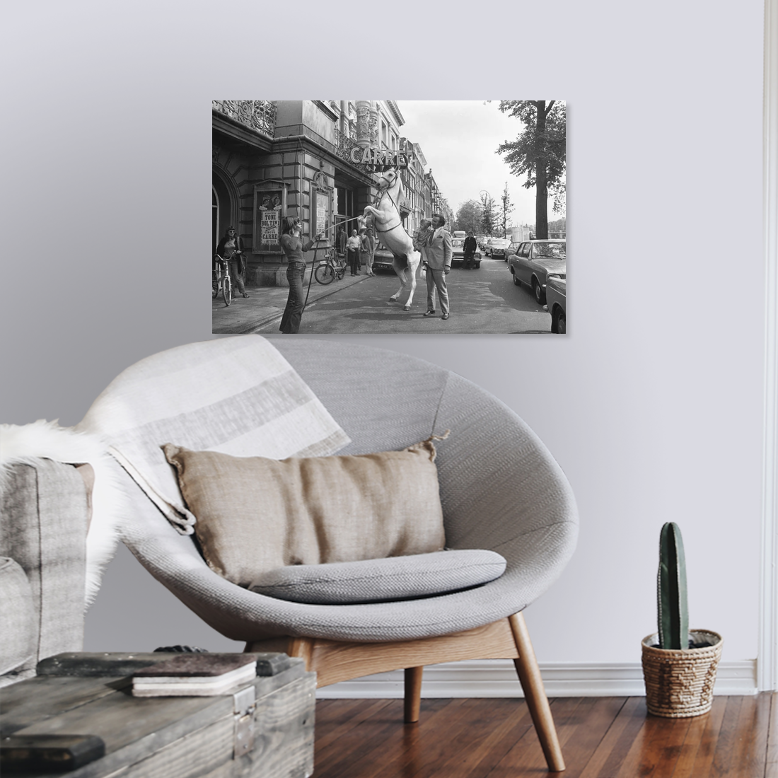 Zwart-witfoto uit 1972 van een circuspaard voor Theater Carré aan de Amstel in Amsterdam. – canvas zonder lijst in leeshoek