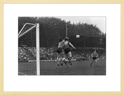 Vitesse - Volendam in Nieuw-Monnikenhuize - 1974