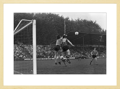Vitesse - Volendam in Nieuw-Monnikenhuize - 1974