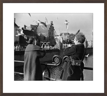Film bij de Hofvijver - 1954