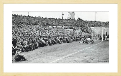 Publiek bij de Galgenwaard - 1955