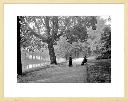 Het Singelplantsoen - 1905