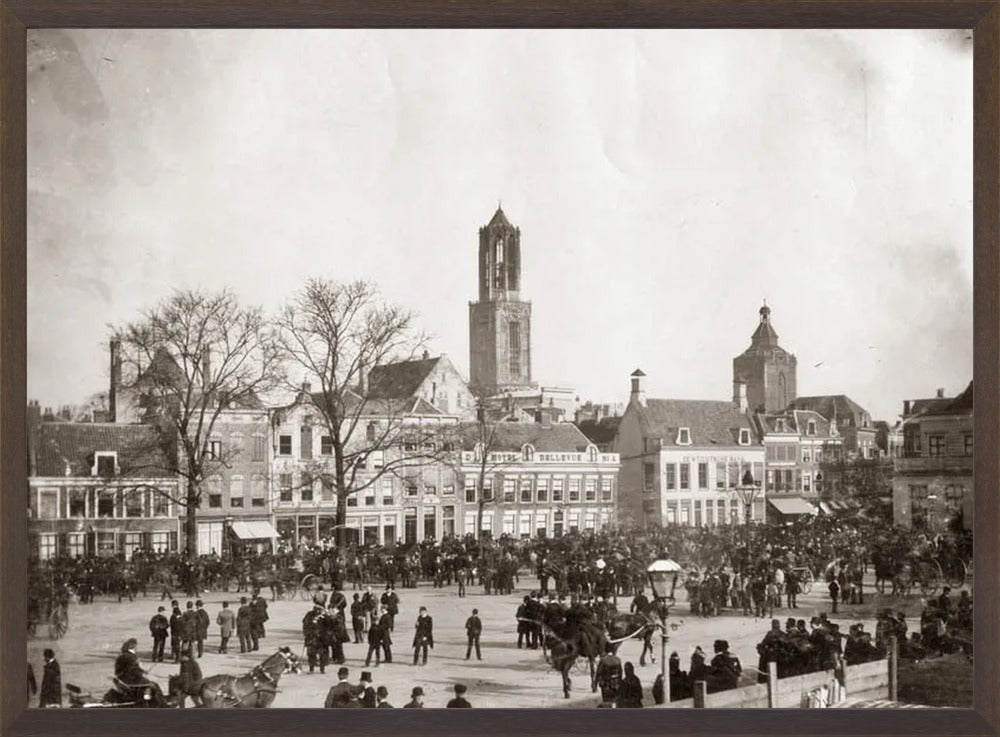 Het Vredenburg - 1891