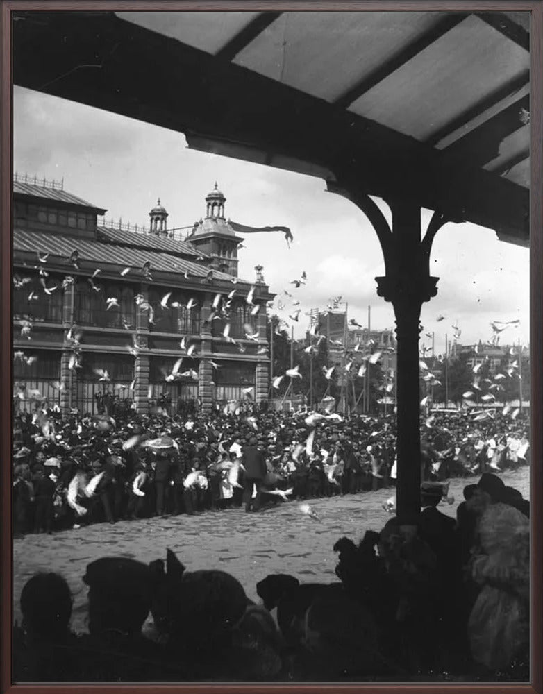 Fruithal op het Vredenburg - 1903