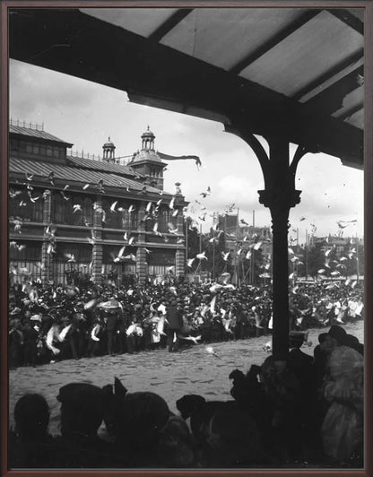 Fruithal op het Vredenburg - 1903