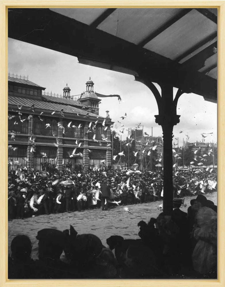 Fruithal op het Vredenburg - 1903