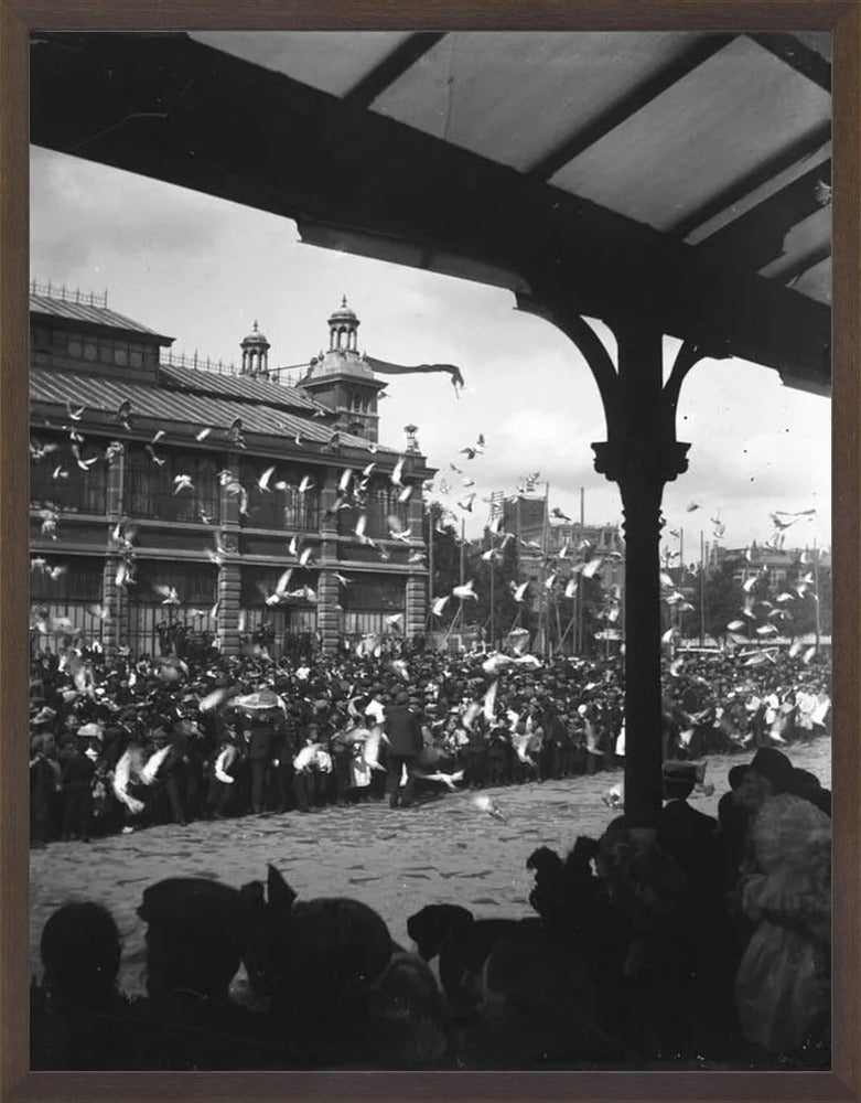 Fruithal op het Vredenburg - 1903