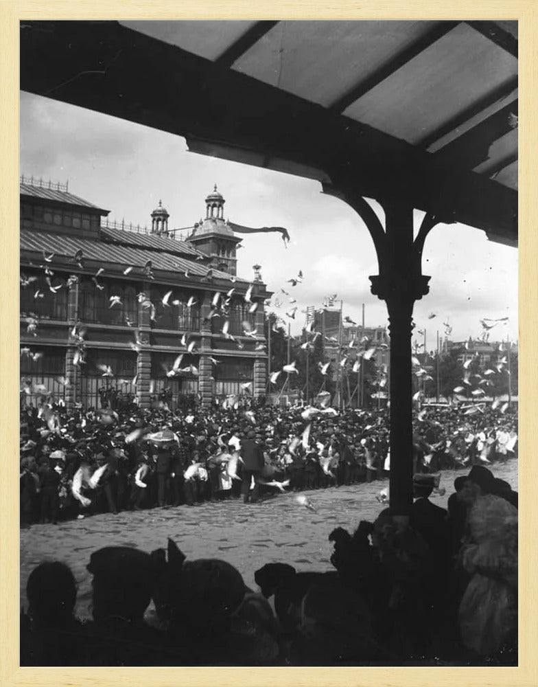 Fruithal op het Vredenburg - 1903