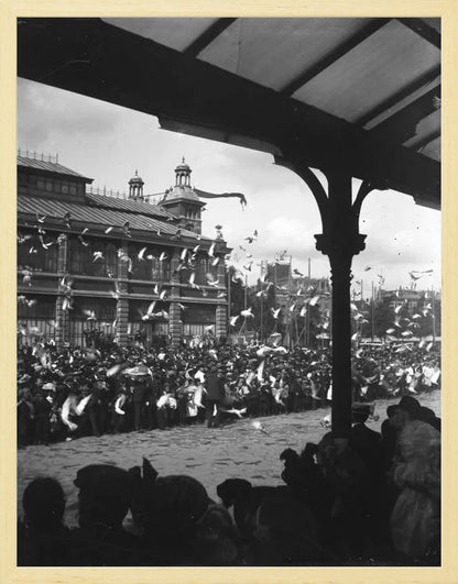 Fruithal op het Vredenburg - 1903