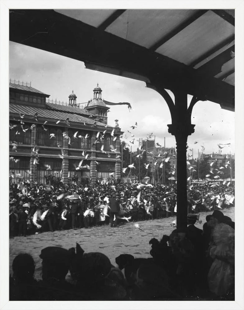 Fruithal op het Vredenburg - 1903
