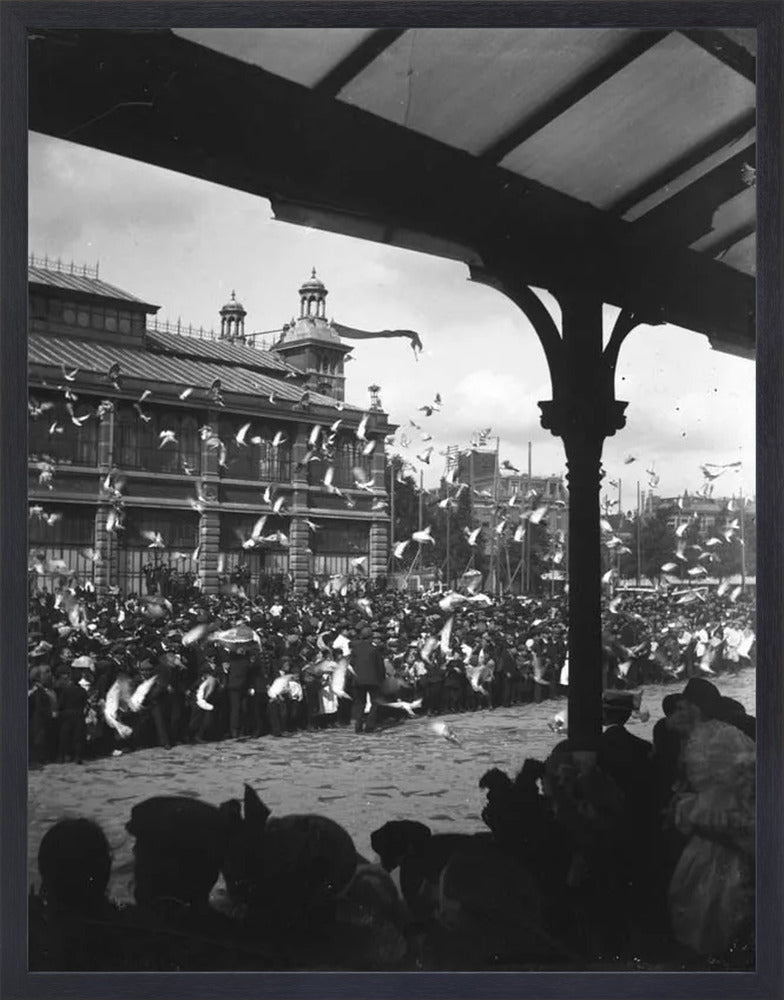 Fruithal op het Vredenburg - 1903
