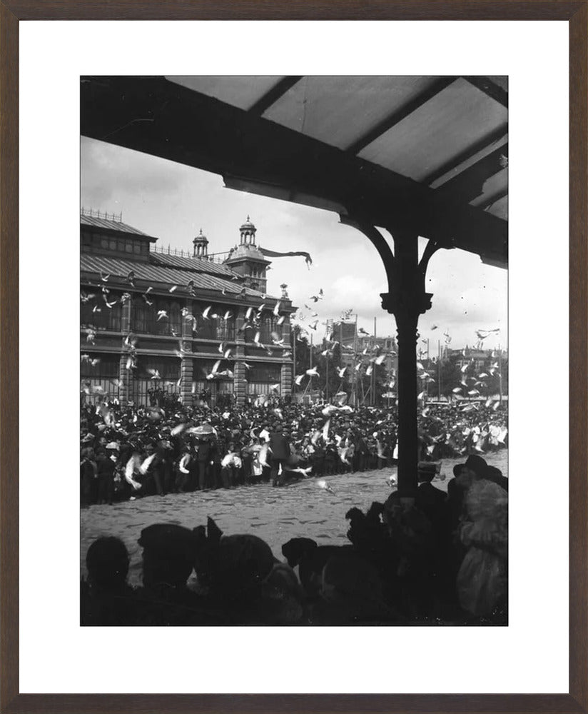 Fruithal op het Vredenburg - 1903