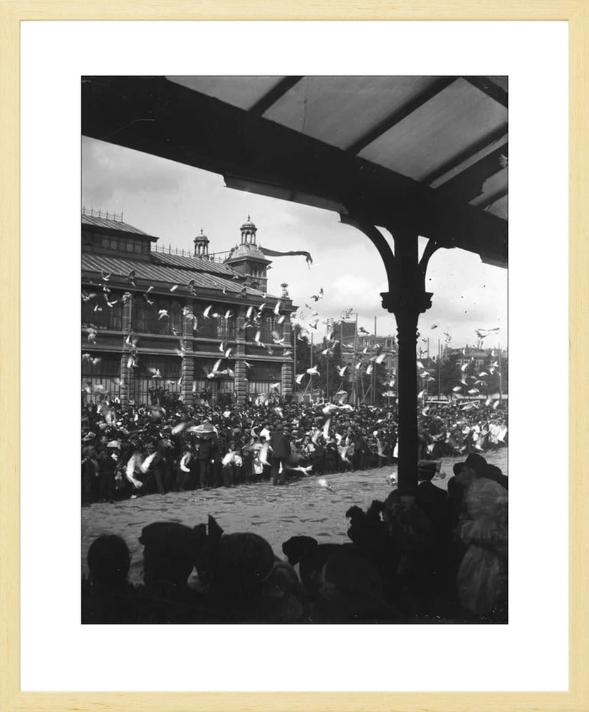 Fruithal op het Vredenburg - 1903