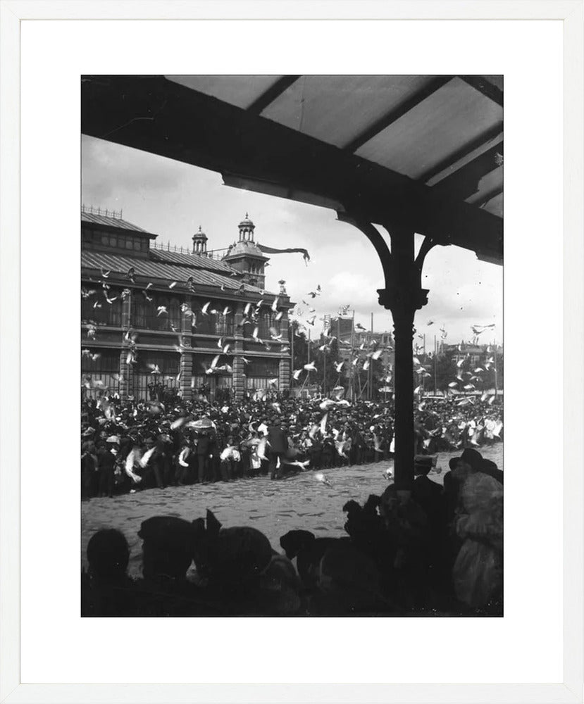 Fruithal op het Vredenburg - 1903