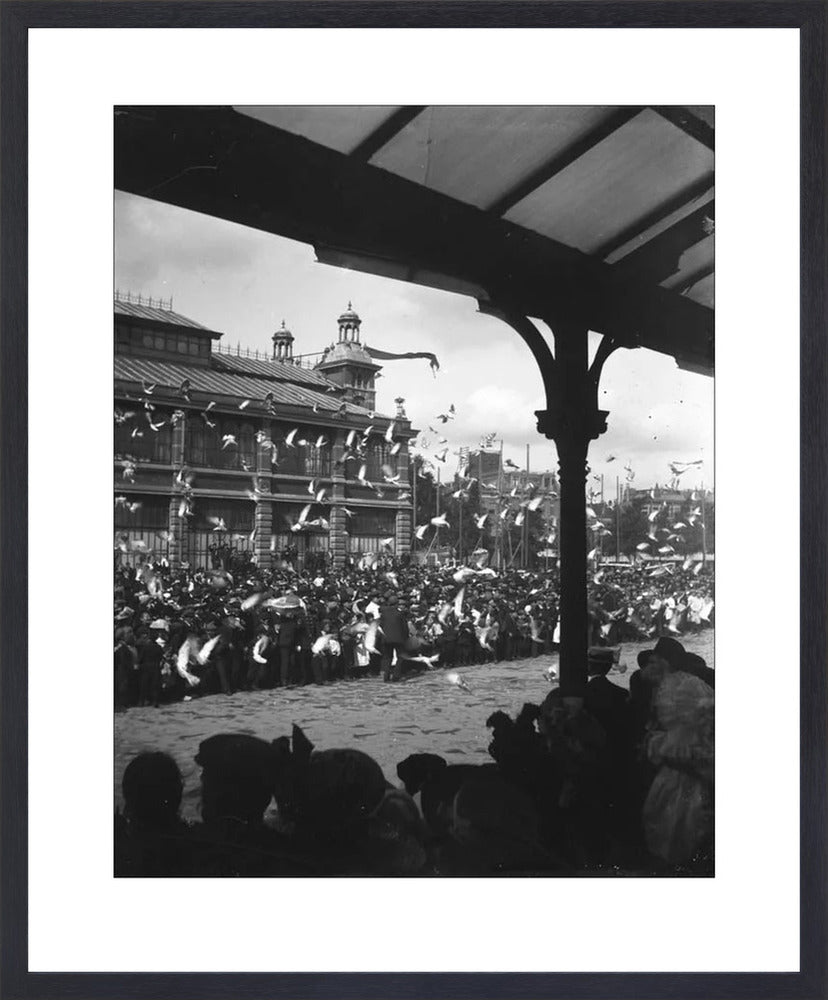 Fruithal op het Vredenburg - 1903