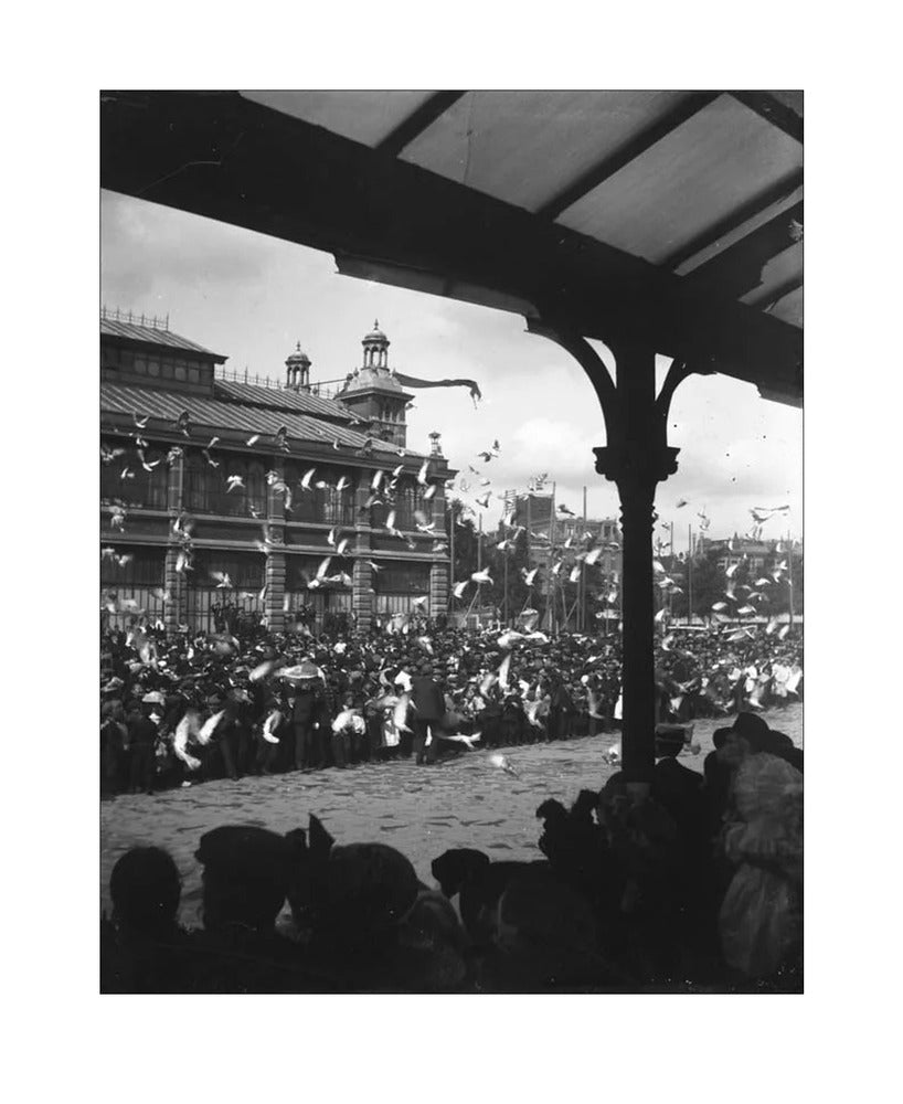 Fruithal op het Vredenburg - 1903