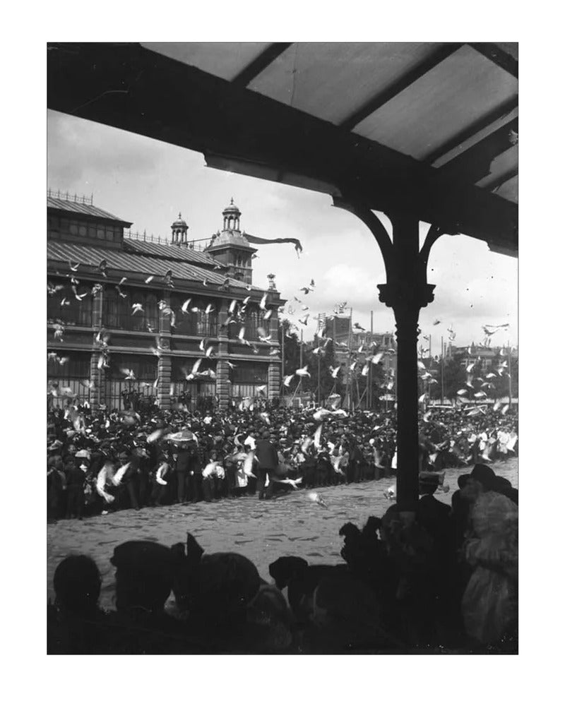 Fruithal op het Vredenburg - 1903