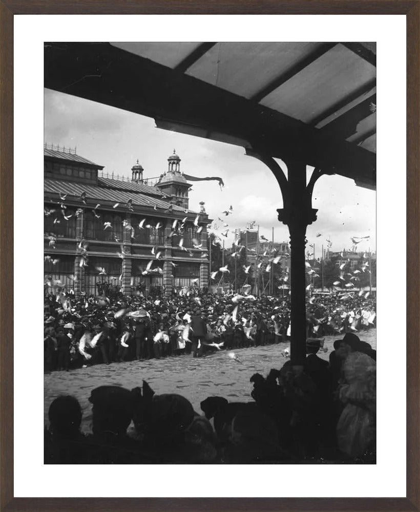 Fruithal op het Vredenburg - 1903