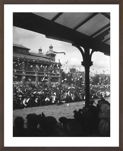 Fruithal op het Vredenburg - 1903