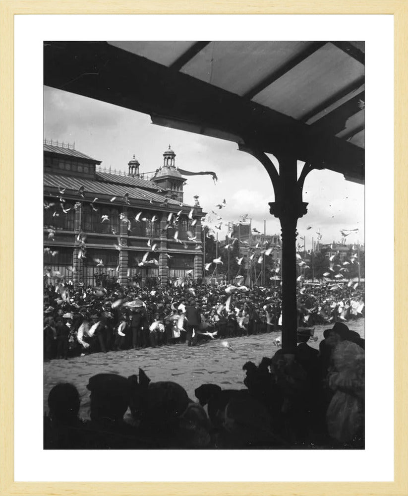 Fruithal op het Vredenburg - 1903