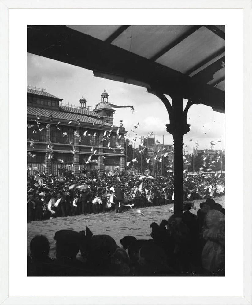 Fruithal op het Vredenburg - 1903