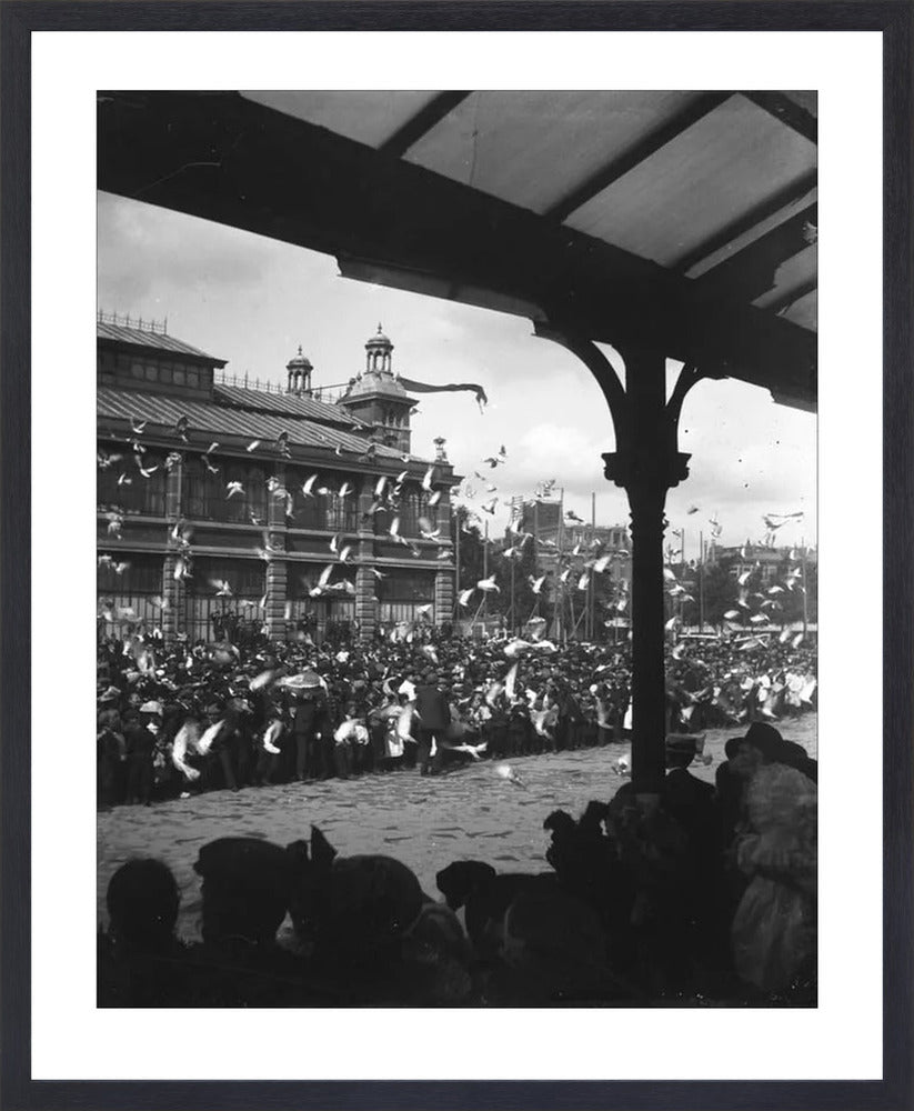 Fruithal op het Vredenburg - 1903