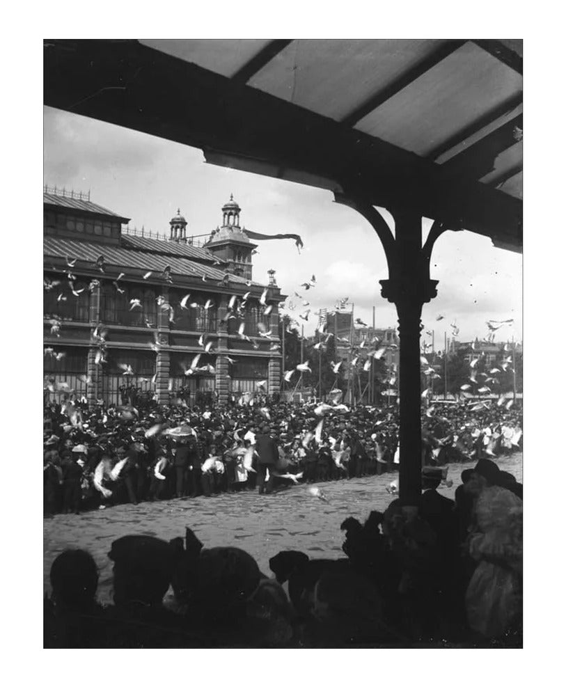 Fruithal op het Vredenburg - 1903